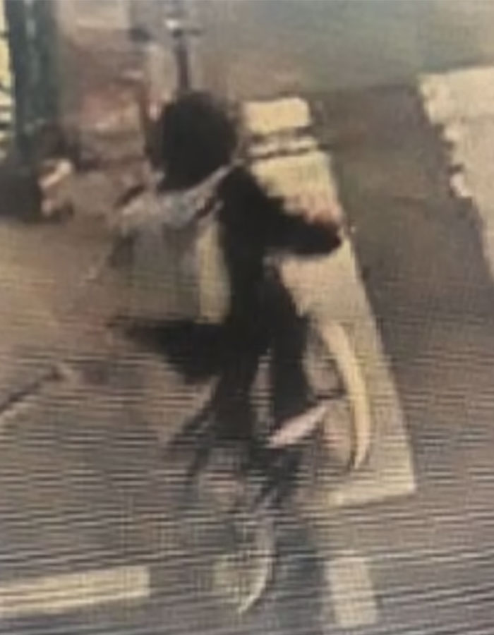 CEO Brian Thompson Assassinated In Broad Daylight, Netizens Speculate &ldquo;Professional Hit&rdquo;