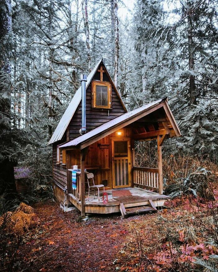 Tiny rustic cabin in a forest setting, showcasing dreamy tiny homes in a serene atmosphere.