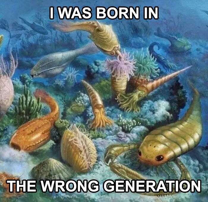 Relatable mental health meme with prehistoric sea creatures, captioned "I was born in the wrong generation."