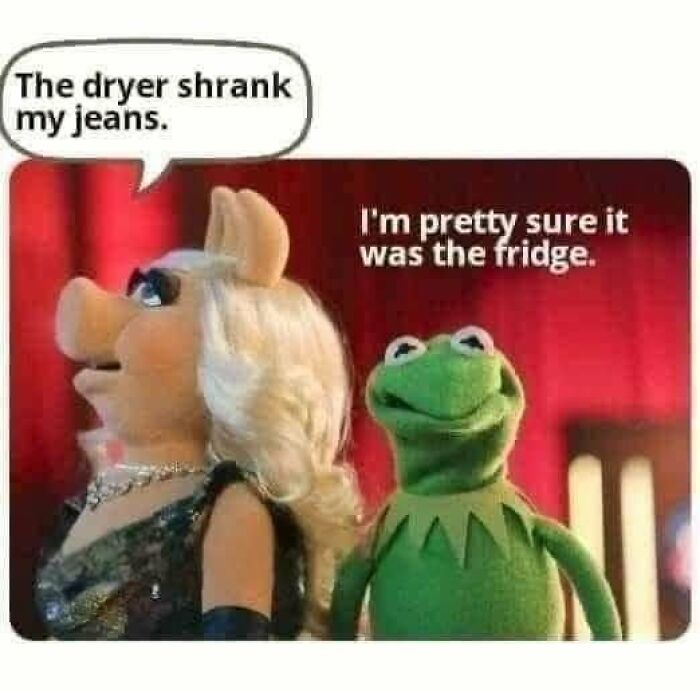 Two iconic puppets share a relatable meme about shrinking jeans, reflecting humor and relatable moments.