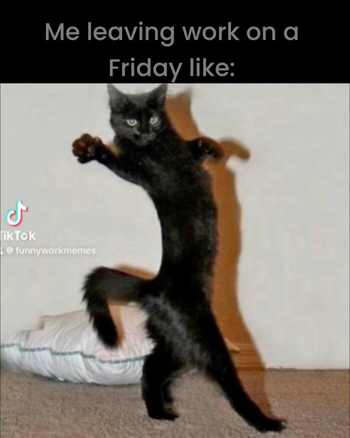 A funny work meme featuring a black cat standing on hind legs with text "Me leaving work on a Friday like."