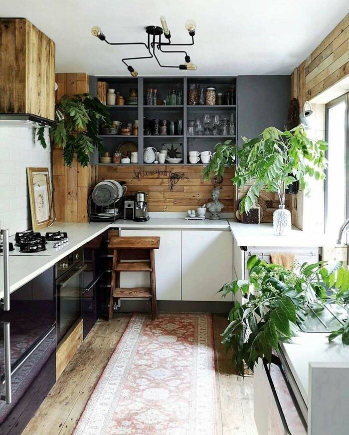 Cozy tiny home kitchen with rustic decor, plants, wooden shelves, and a narrow rug.