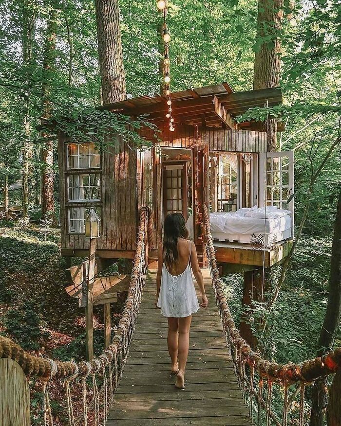Woman walking towards a tiny home in a lush forest setting, surrounded by trees and greenery.
