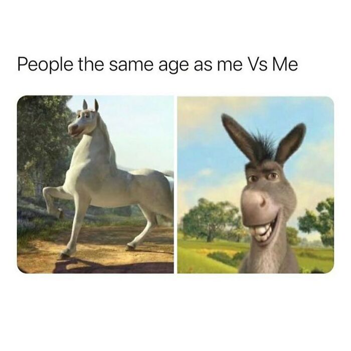 Side-by-side comparison of a majestic horse and a smiling donkey, illustrating funny spot-on contrast.