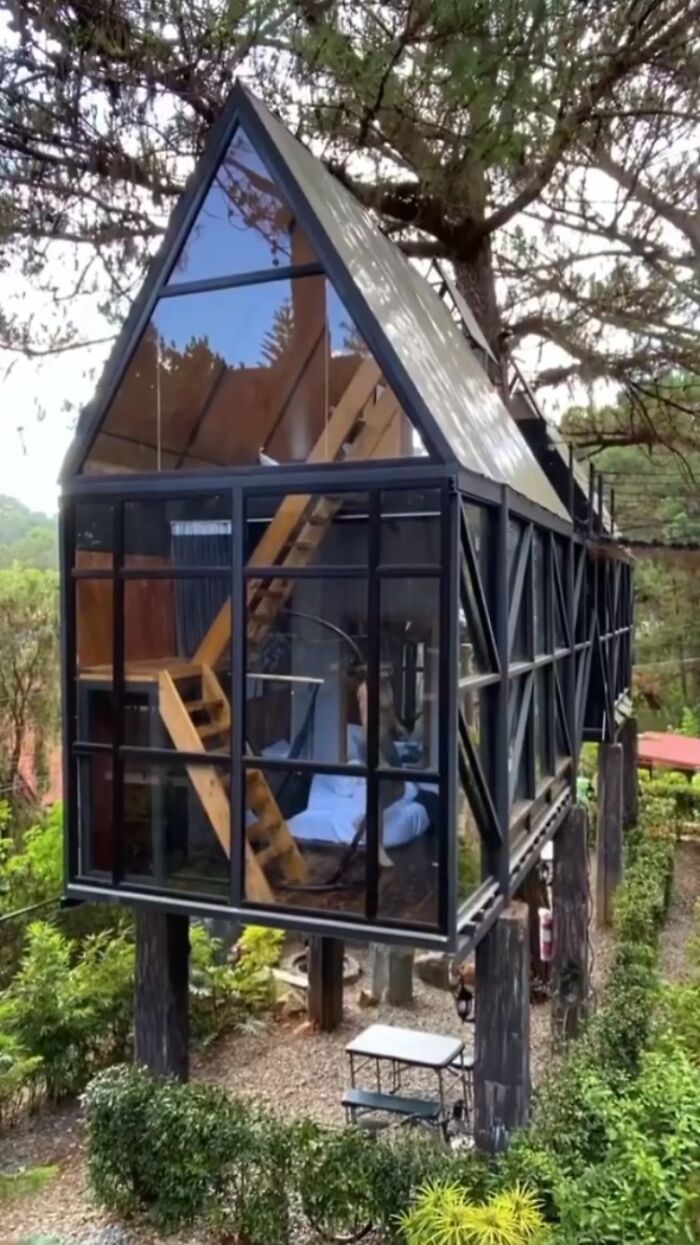 Modern tiny home with glass walls, nestled among trees, featuring a wooden ladder and small outdoor space.