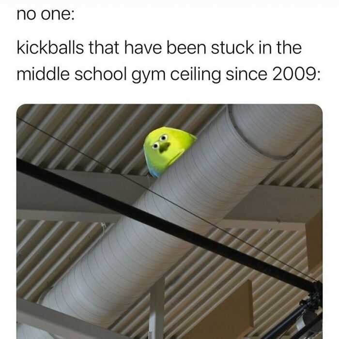 Funny post with a yellow plush toy resembling a kickball stuck in a gym ceiling, humorously spot-on.