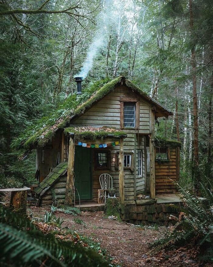 Tiny home nestled in lush forest with moss-covered roof and smoke rising from chimney.