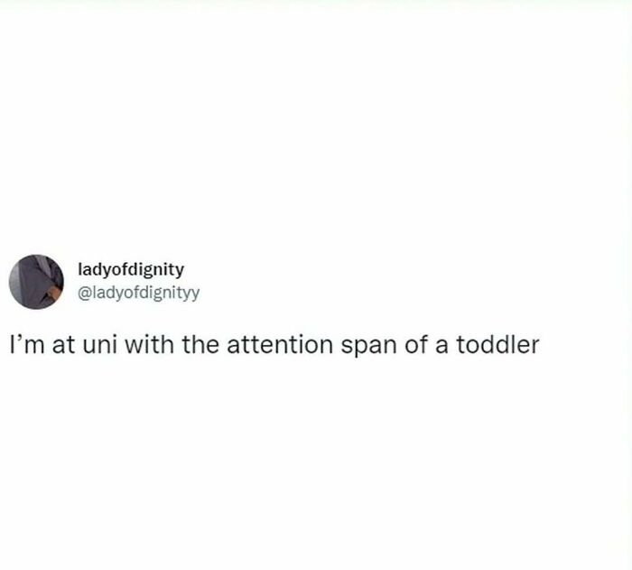Student meme about university life humorously comparing attention span to a toddler's.