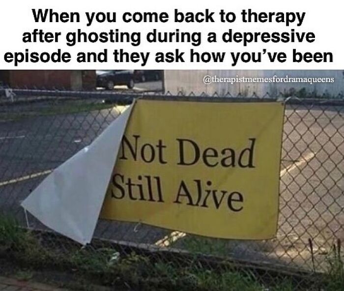 Therapy meme showing a sign on a fence reading "Not Dead Still Alive," humorously reflecting post-session experiences.