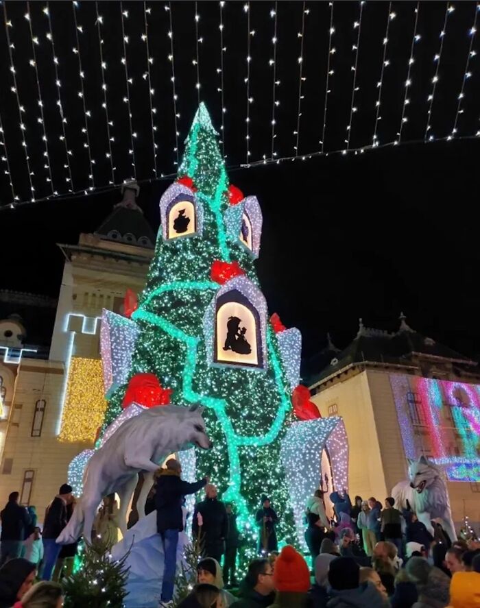 Illuminated Christmas tree in a city square, adorned with lights and decorations, surrounded by festive crowds in Romania.