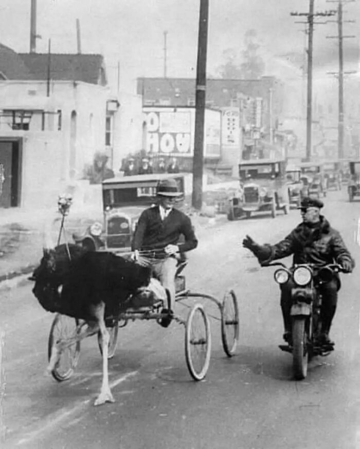 Historical picture of a man riding an ostrich-drawn cart next to a motorcyclist on a busy street.