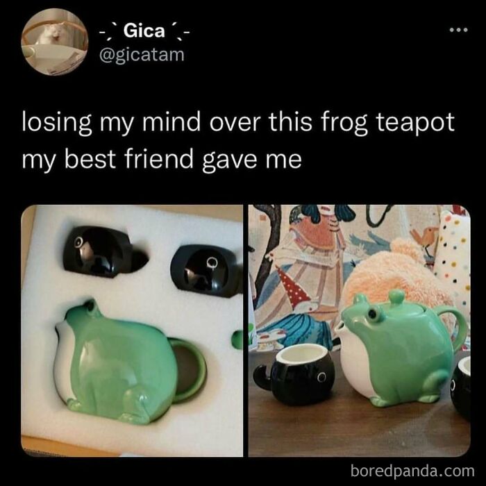 Frog-shaped teapot and cups on display, showcasing memes and culture in gift humor.