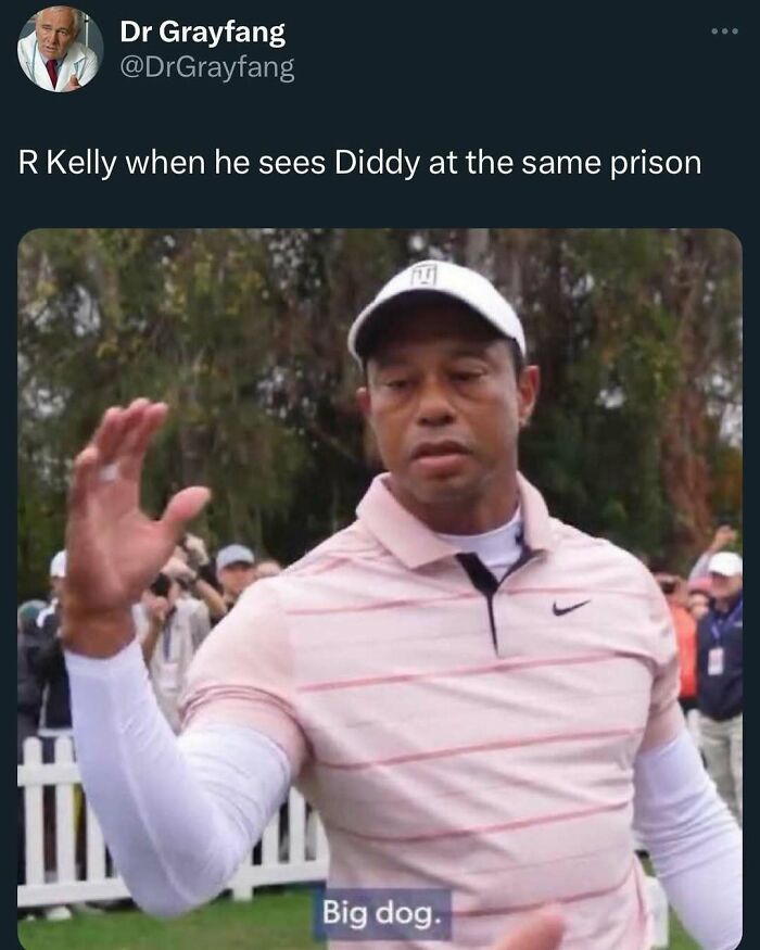 Humorous-Random-Memes