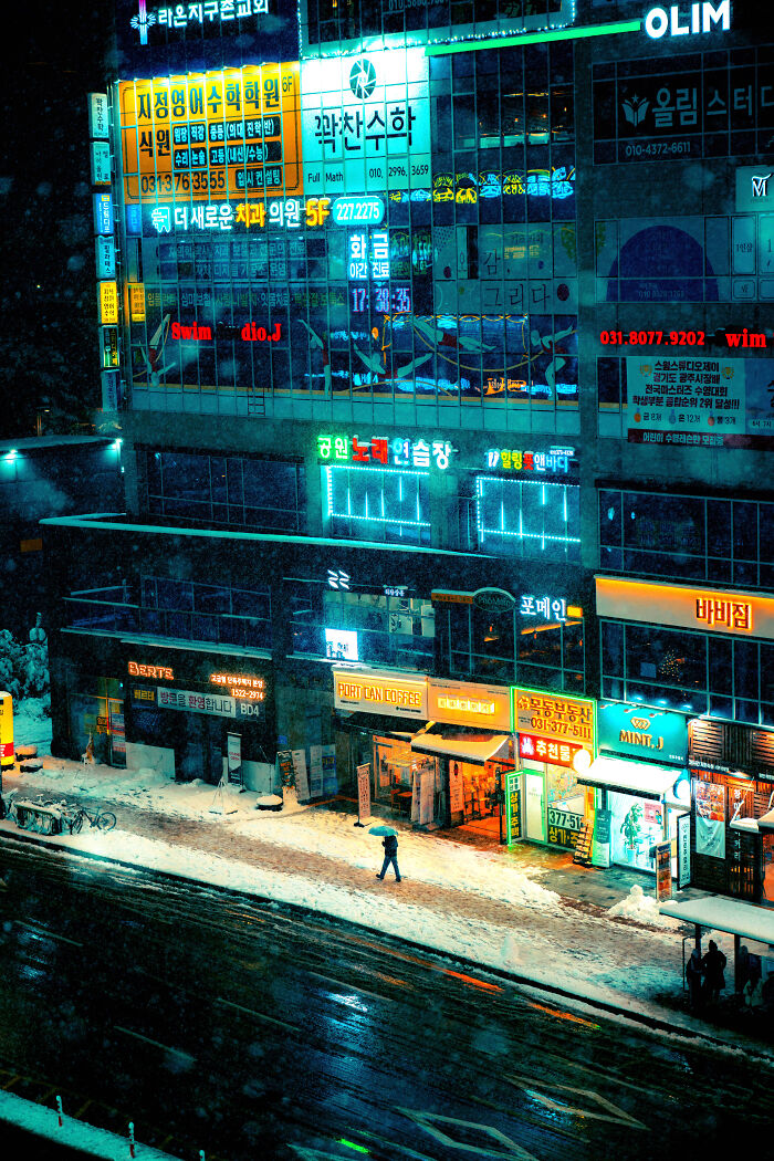 A Snowy Night In Korea