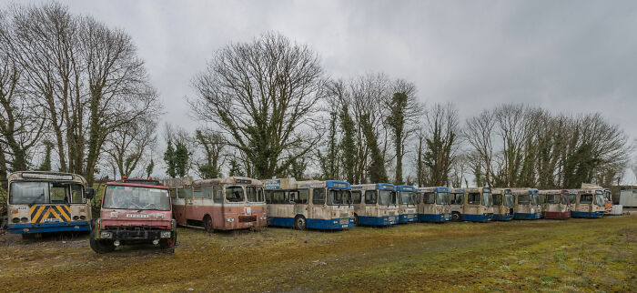 Abandoned Irish ghost buses lined up in a graveyard under cloudy skies.