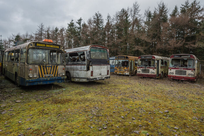 Abandoned Irish ghost buses in a graveyard surrounded by trees.