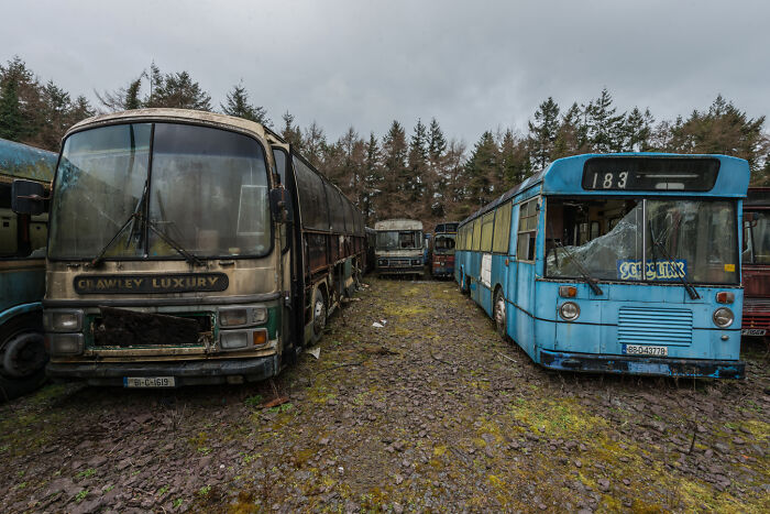 Ghost bus graveyard with weathered Irish buses, surrounded by trees under a cloudy sky.
