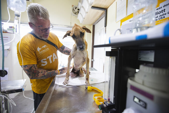 This Dog Sanctuary Honored Its Supporters By Making Them Part Of The Story