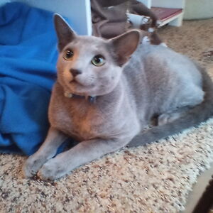 courtneymarie avatar