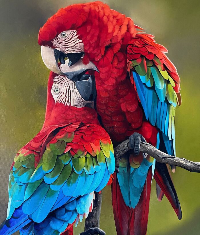 Two vibrant macaws showcasing colorful feathers, embodying fine art by Brazilian artist Petterson Silva.