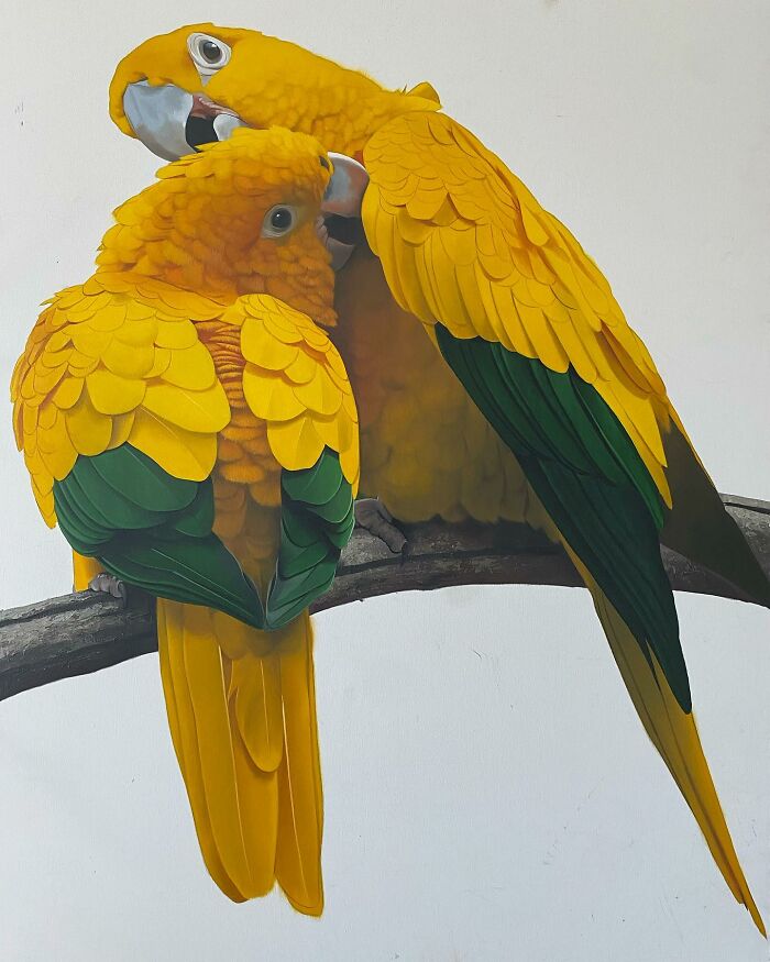 Two vibrant yellow parrots by Brazilian artist Petterson Silva, showcasing feather art on a branch.