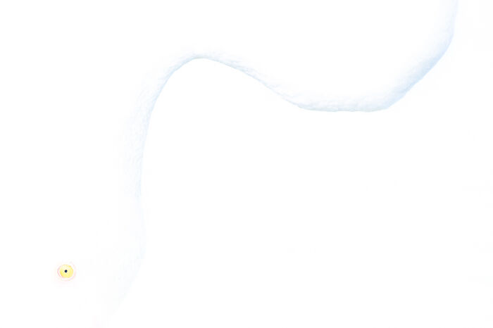 Minimalist aerial view of snowy landscape, showcasing Nature Photographer of the Year winner's unique perspective.