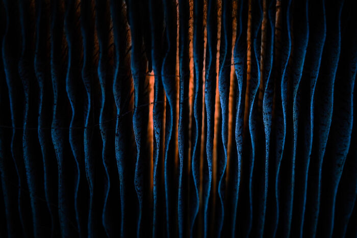 Abstract lines in blue and orange light, showcasing an impressive photo from Nature Photographer of the Year 2024.