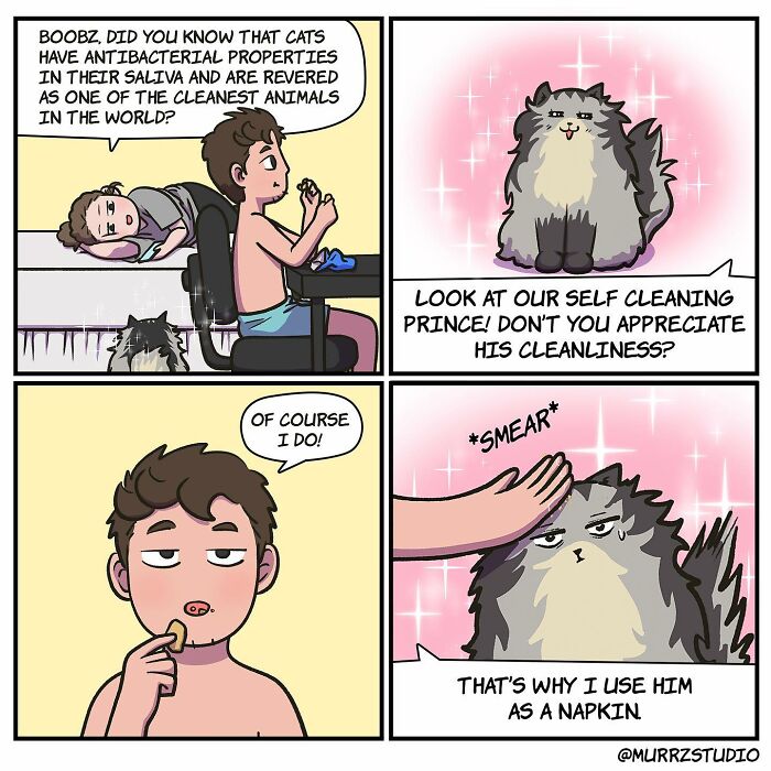 New Comics That Show The Hilarious Side Of Everyday Life, Relationships And Living With A Feline By Murzz