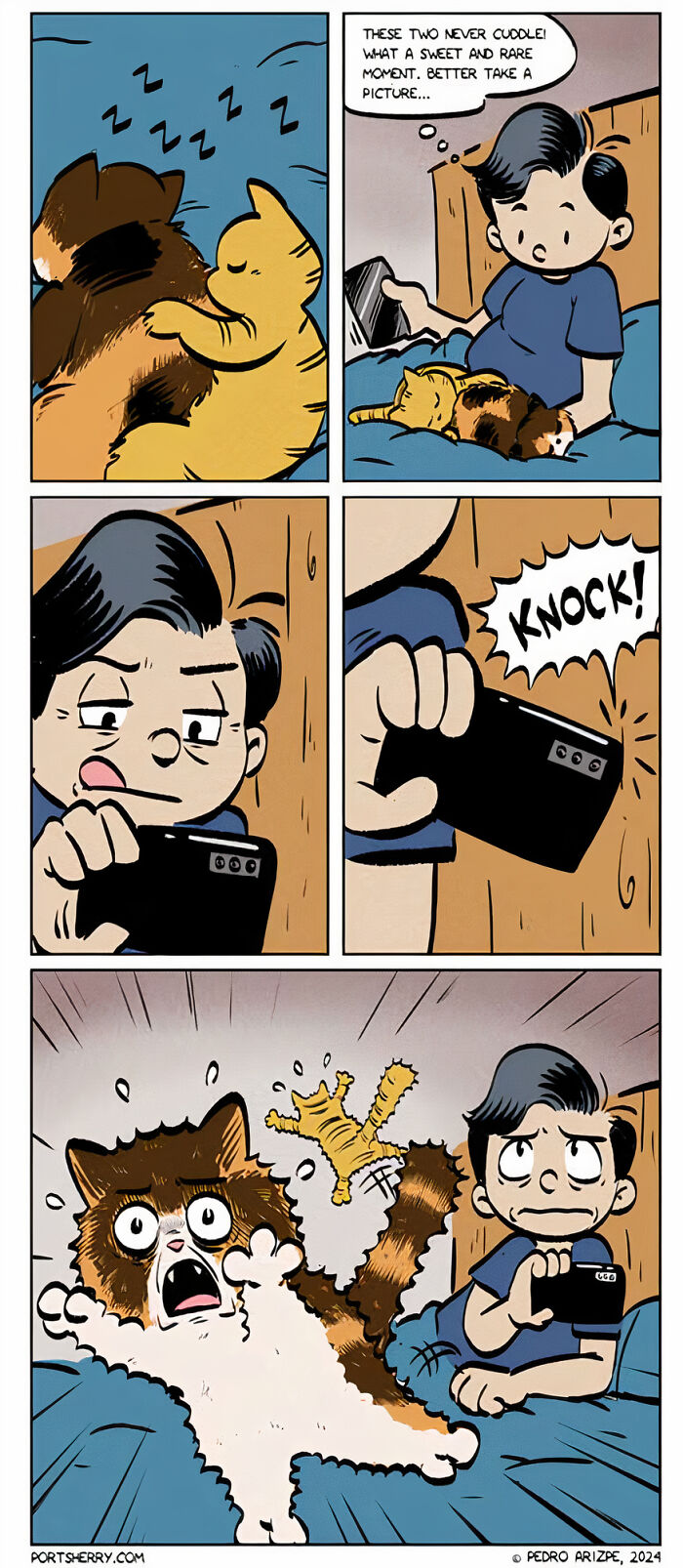 Comic by Pedro Arizpe: person tries to photograph cuddling cats, but a knock scares them.