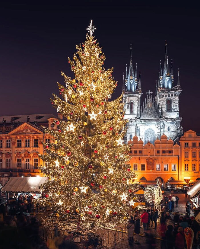 Illuminated Christmas tree in a city square with a historic church in the background.