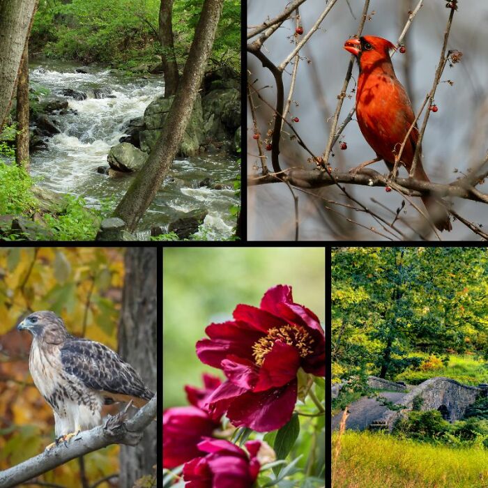 Rockefeller State Park Preserve&rsquo;s Photography Exhibit Showcasing Works Of 30 Photographers
