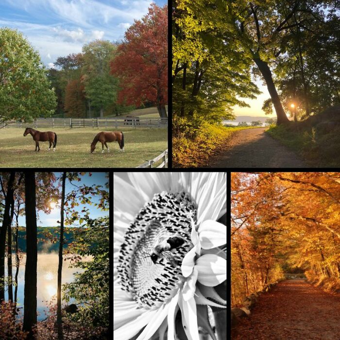 Rockefeller State Park Preserve&rsquo;s Photography Exhibit Showcasing Works Of 30 Photographers