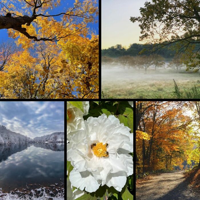 Rockefeller State Park Preserve&rsquo;s Photography Exhibit Showcasing Works Of 30 Photographers