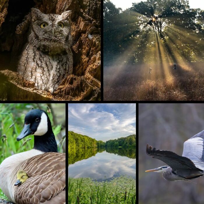 Rockefeller State Park Preserve&rsquo;s Photography Exhibit Showcasing Works Of 30 Photographers