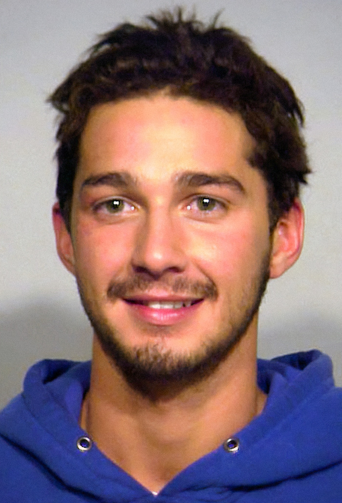 Shia Labeouf in a blue hoodie, representing the trend of viral criminal heartthrob mugshots.