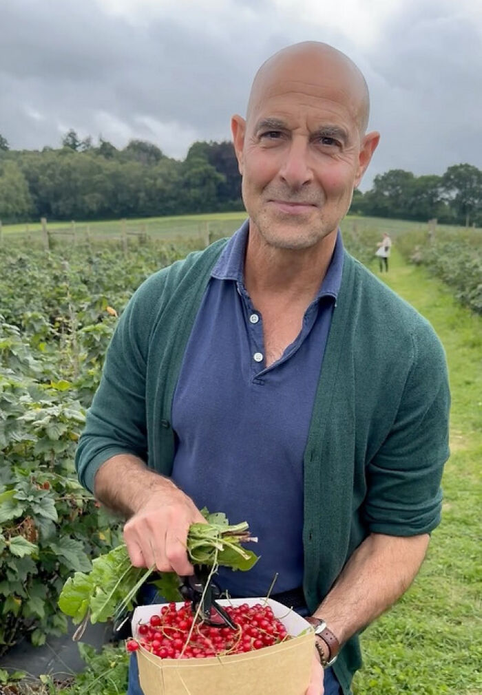 “Insanely Hot”: Internet Swoons Over Throwback Photo Of Stanley Tucci When He Had Hair “Insanely Hot”: Internet Swoons Over Throwback Photo Of Stanley Tucci When He Had Hair