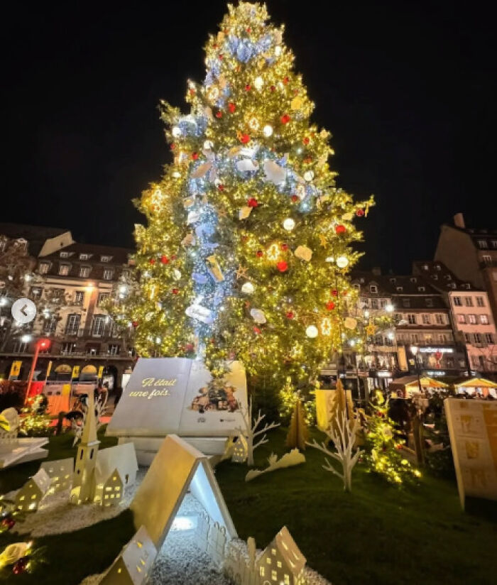 Beautifully lit Christmas tree in a city square, surrounded by festive decorations and lights.
