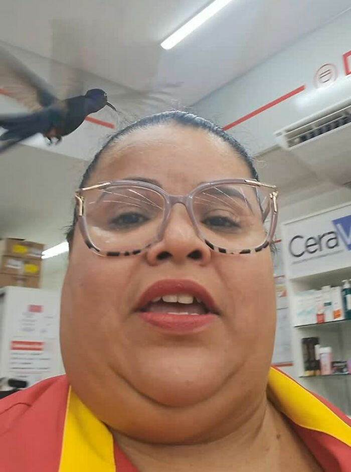 Woman in a store with a hummingbird hovering nearby, exemplifying a magical friendship in Brazil. Woman in a store with a hummingbird hovering nearby, exemplifying a magical friendship in Brazil.