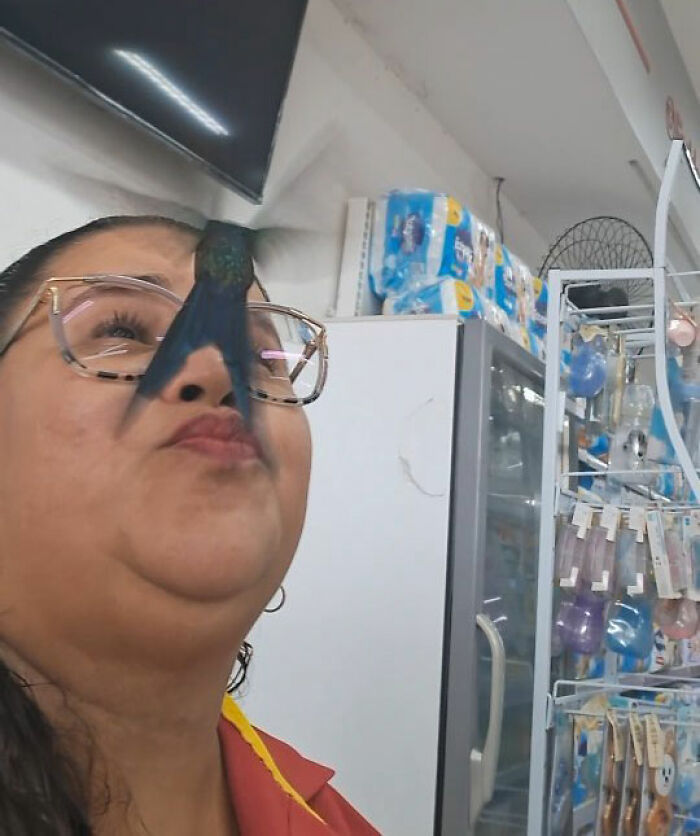 Woman with a hummingbird on her glasses, showcasing a magical friendship. Woman with a hummingbird on her glasses, showcasing a magical friendship.