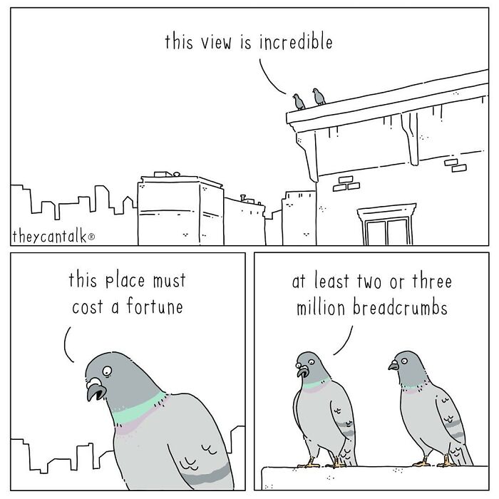 Funny new they can talk comics by Jimmy Craig showing pigeons humorously discussing city views and breadcrumbs on a rooftop.