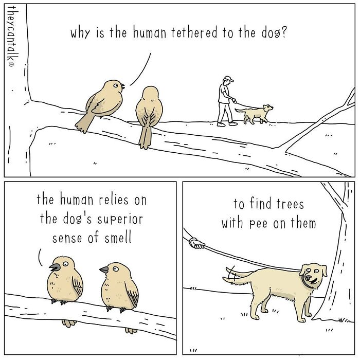 Two birds humorously discuss a human walking a dog to find trees marked with dog pee in a funny animals comic.