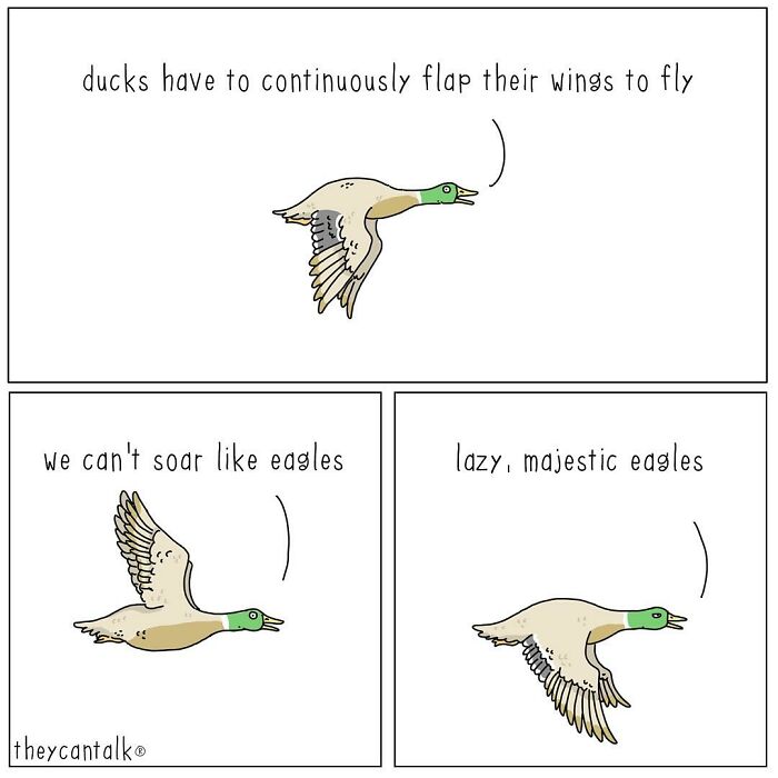 Comic showing a funny talking duck explaining why ducks can’t soar like lazy, majestic eagles in animals with a voice comic style.