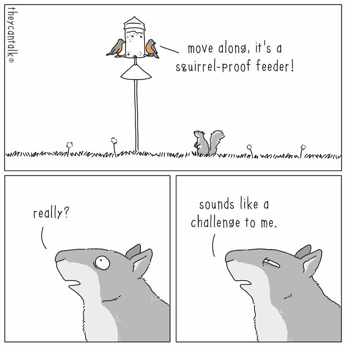Comic panel showing animals with a voice; birds warn squirrel about a squirrel-proof feeder, squirrel sees it as a challenge.