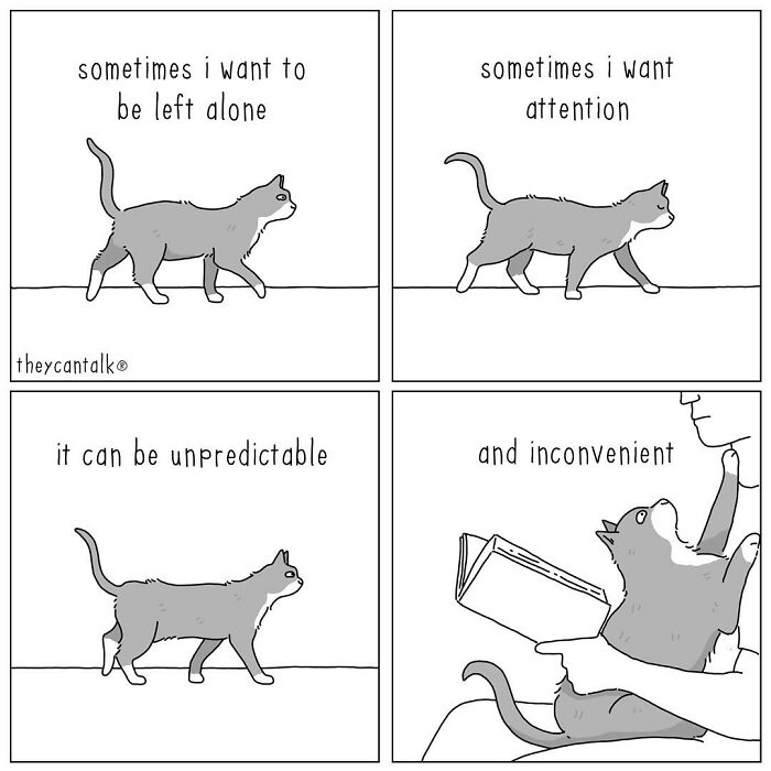 Comic panels show a cat expressing mood changes with funny new they can talk comics featuring animals with a voice.