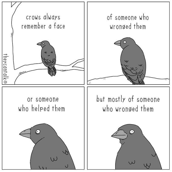 Comic panels showing a crow illustrating how animals with a voice remember faces, mostly those who wronged them.