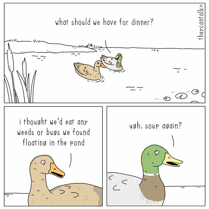 Cartoon of ducks talking about dinner, humorously showing animals with a voice in a funny comic style.