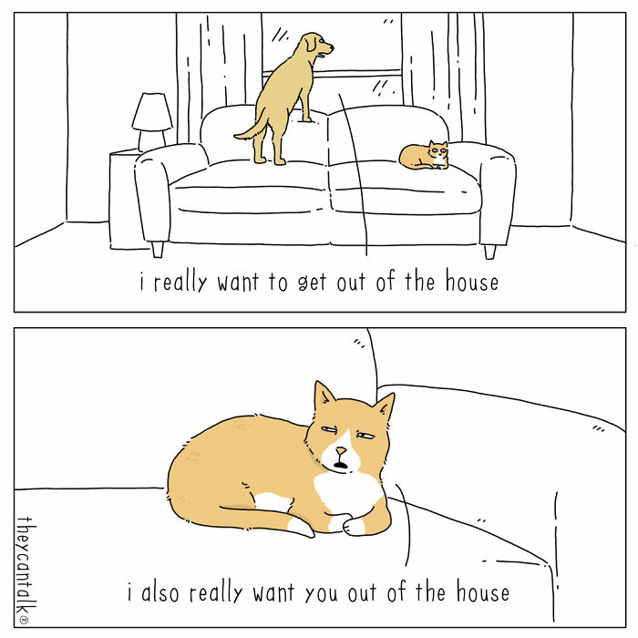 Comic showing a dog and cat on a couch expressing contrasting desires in funny animals with a voice comic style.