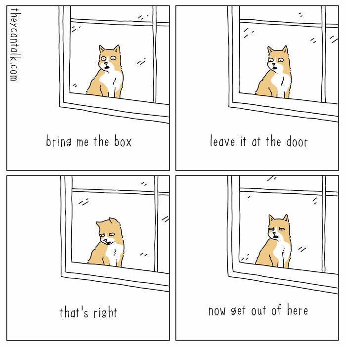 Comic panels showing a dog talking through a window with captions, illustrating animals with a voice in a funny comic style.