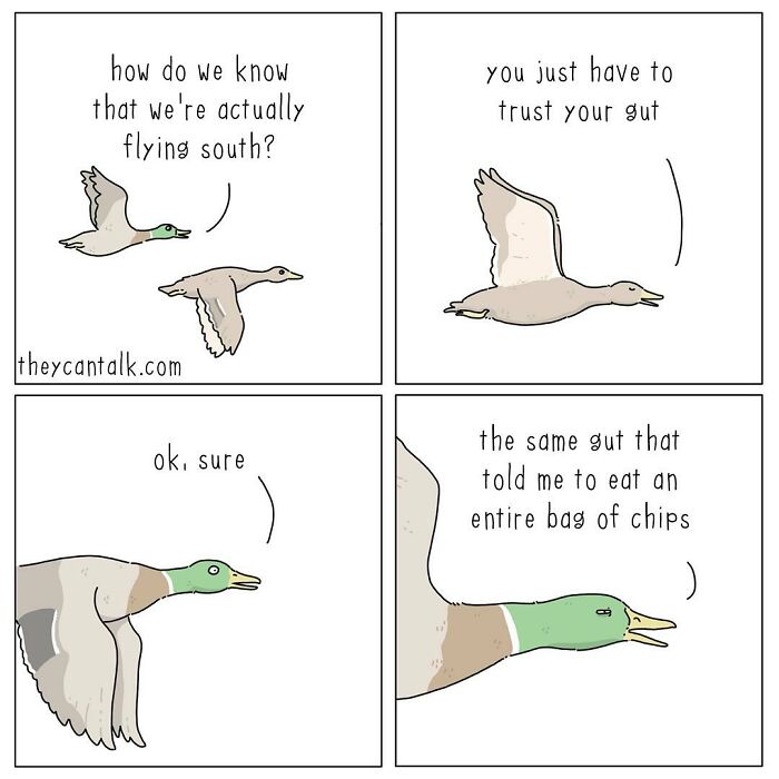Comic panels showing talking ducks humorously discussing trusting their gut while flying south, from a funny animal voice comic.
