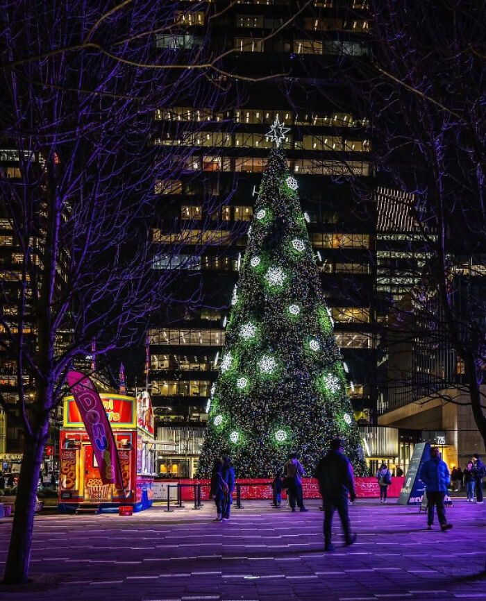 Illuminated Christmas tree in a city square at night, adorned with glowing ornaments, surrounded by people and city lights.
